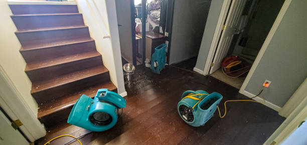 Best Carpet water damage restoration  in Rockton, IL