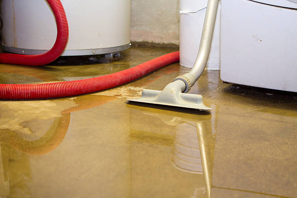 Best Sewage cleanup and water damage restoration  in Rockton, IL