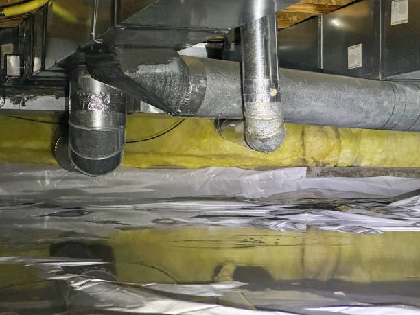 Best Professional water damage repair  in Rockton, IL